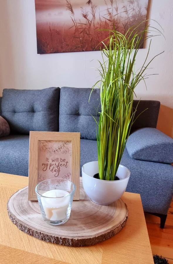 Apartma Metka Bovec Exteriér fotografie