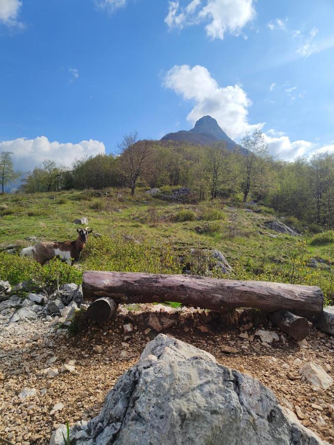 Apartma Metka Bovec Exteriér fotografie